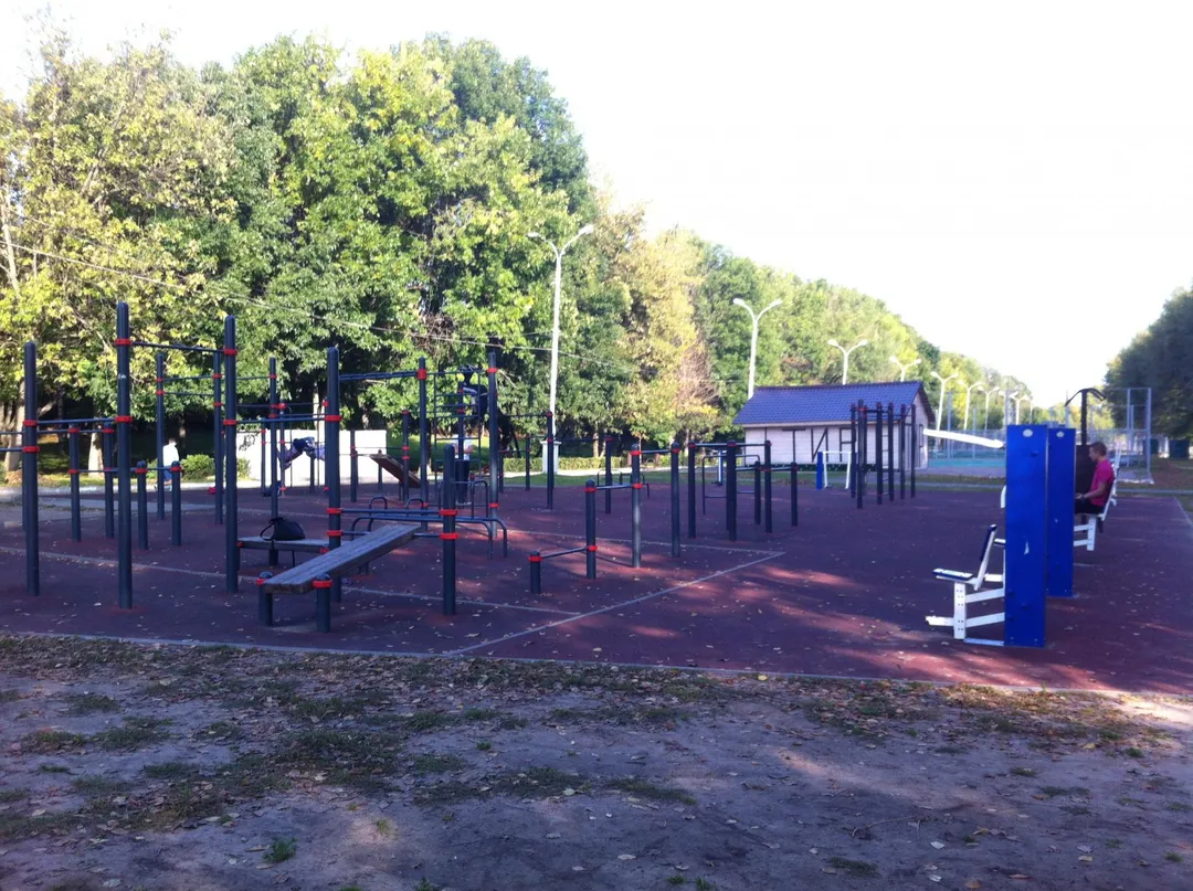 Panca per addominali presso Calisthenics Park at набережная Афанасия Никитина, городской округ Тверь – foto 5 di 6