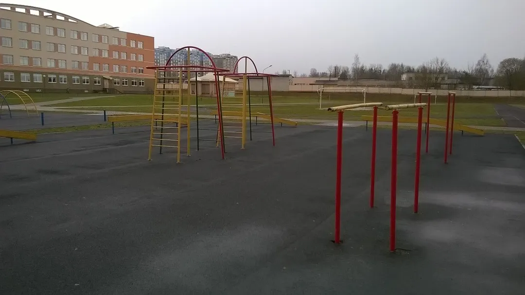 Monkey Bars at Calisthenics Park at вуліца Вольгі Соламавай, Гродна – photo 3 of 4