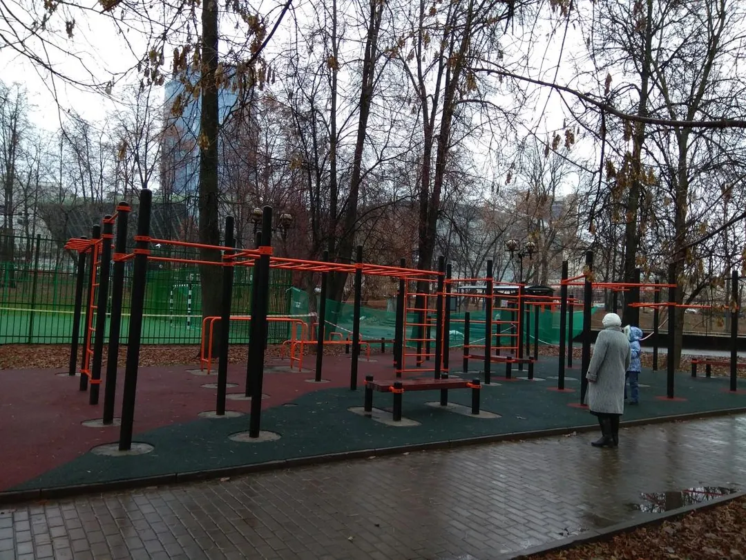 Barres de singe à Calisthenics Park at Большая Екатерининская улица, Москва – photo 3 sur 3