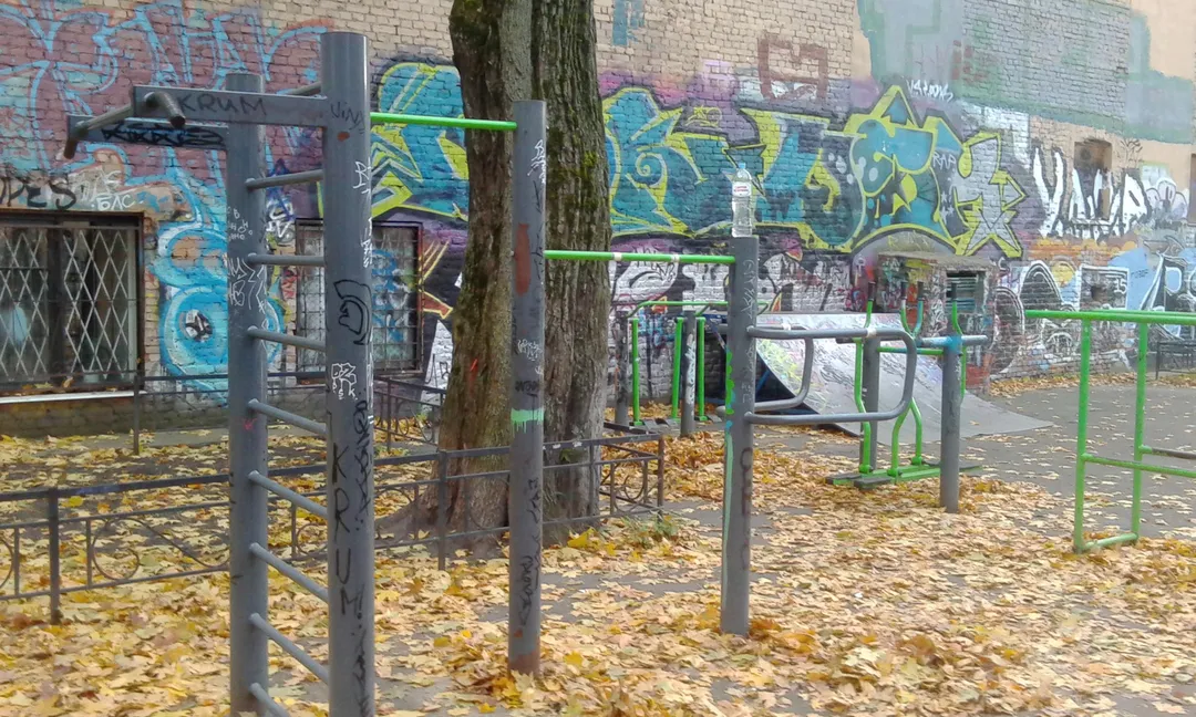 Air skier presso Calisthenics Park at 10-11-я линии В.О., Санкт-Петербург – foto 5 di 5