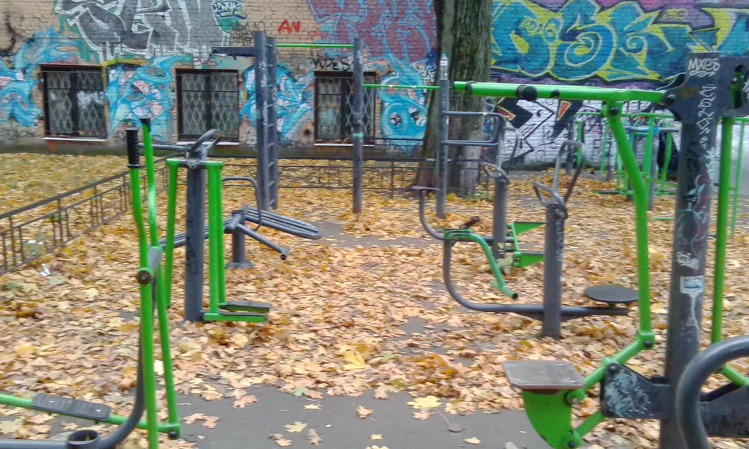 Sci di fondo presso Calisthenics Park at 10-11-я линии В.О., Санкт-Петербург – foto 4 di 5