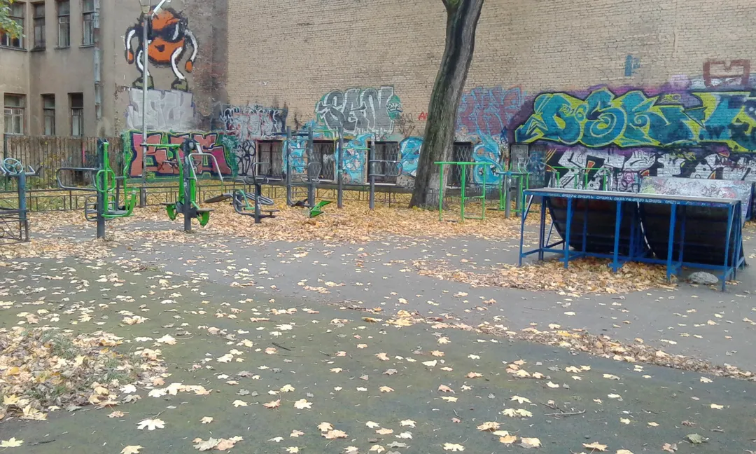 Sbarra per trazioni presso Calisthenics Park at 10-11-я линии В.О., Санкт-Петербург – foto 1 di 5