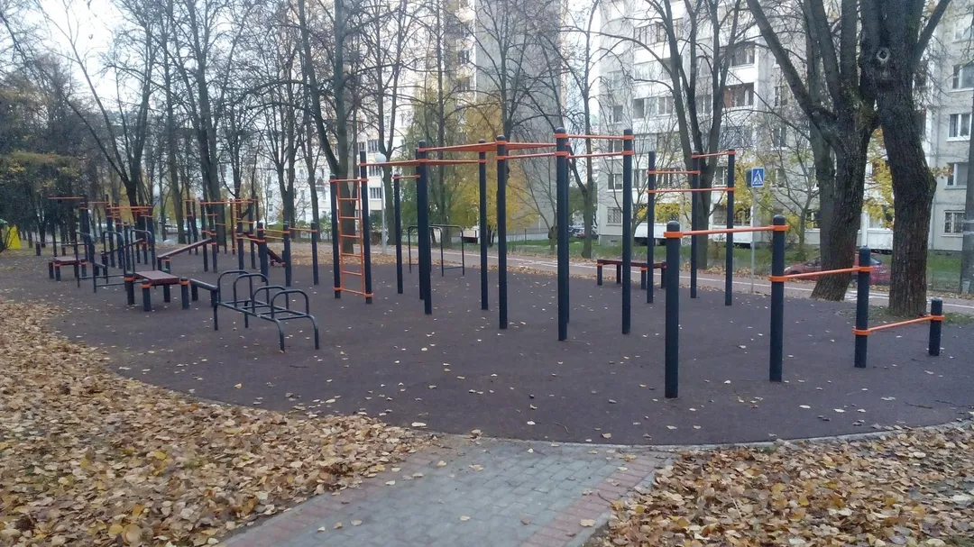 Barres de singe à Calisthenics Park at Усходняя вуліца, Мінск – photo 4 sur 4