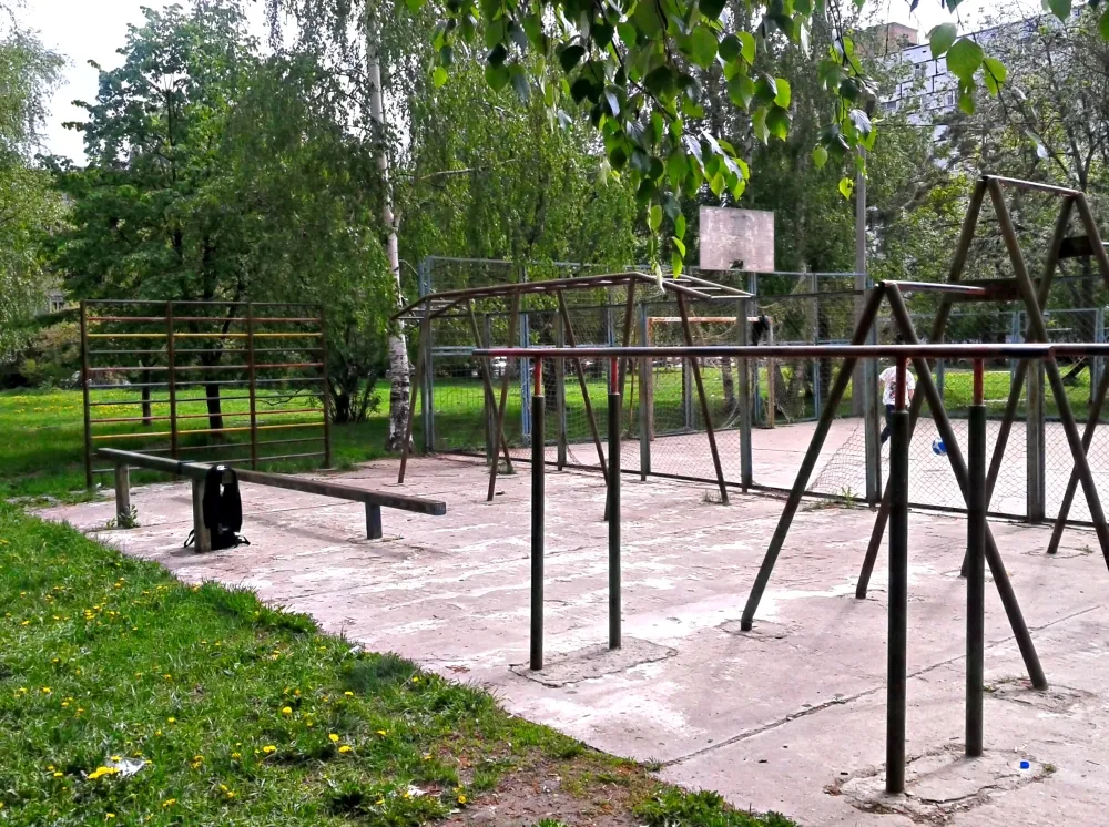 Barres de singe à Calisthenics Park at улица Чайковского, Ступино #wp1514 – photo 3 sur 4