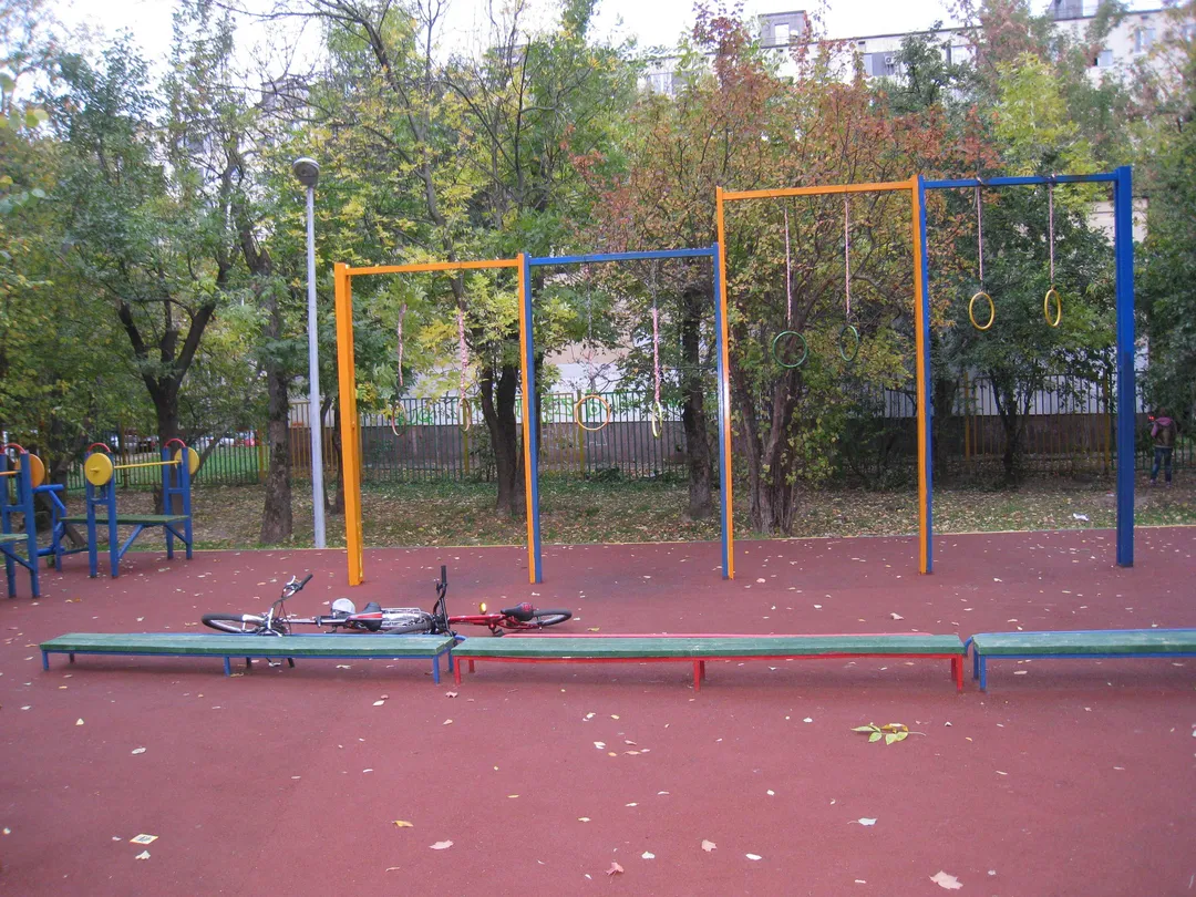 Monkey Bars la Calisthenics Park at Востряковский проезд, Москва – fotografia 3 din 3