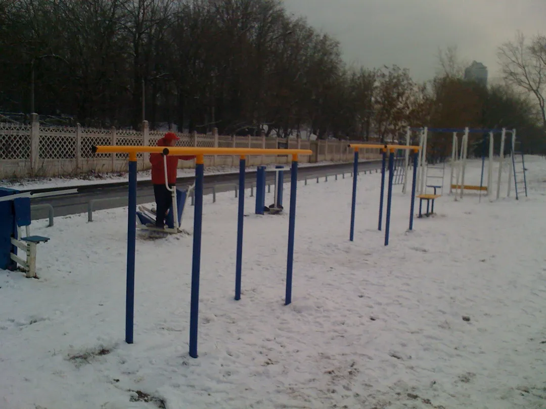 Рукохід на майданчику Calisthenics Park at набережная Иосифа Кобзона, Москва – фото 3 з 3