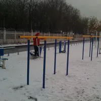 Calisthenics Park at набережная Иосифа Кобзона, Москва - thumbnail 3