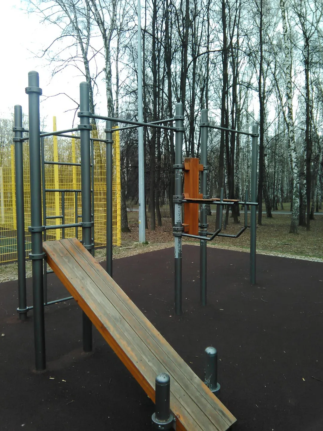 Bară de flotări la Calisthenics Park at Братиславская улица, городской округ Рязань – fotografia 5 din 5