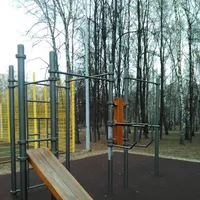 Calisthenics Park at Братиславская улица, городской округ Рязань - thumbnail 5