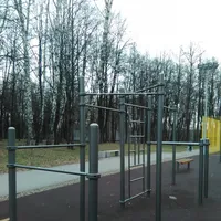 Calisthenics Park at Братиславская улица, городской округ Рязань - thumbnail 3