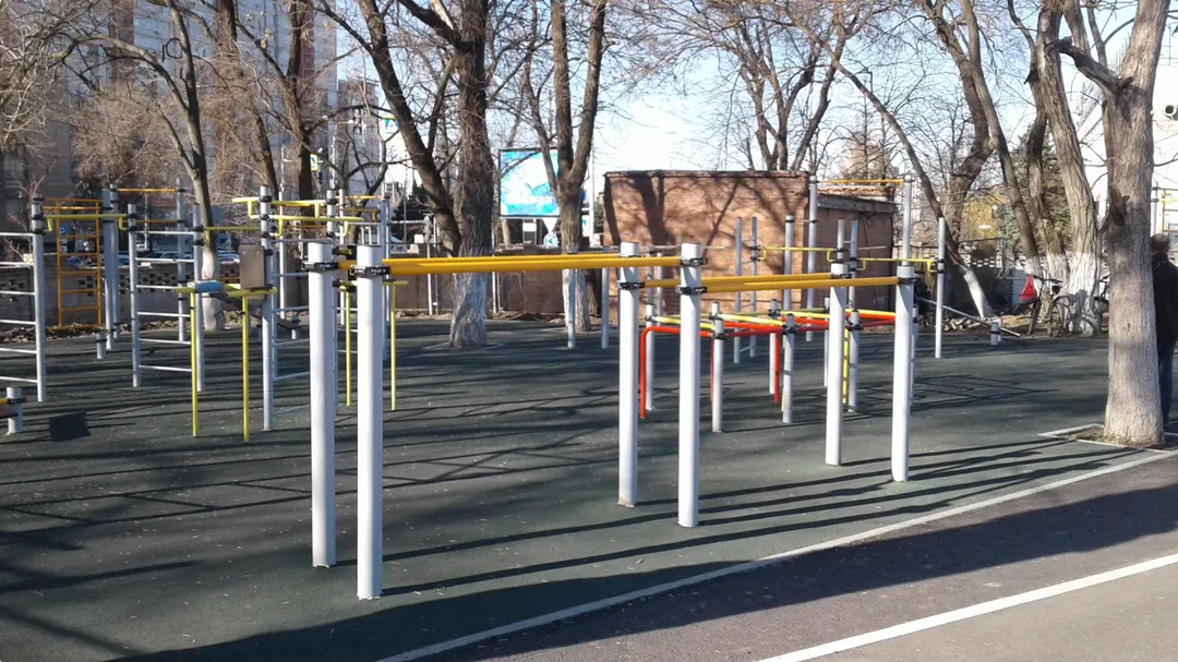 Турник на площадке Calisthenics Park at Динамо, Ростов-на-Дону – фото 1 из 1