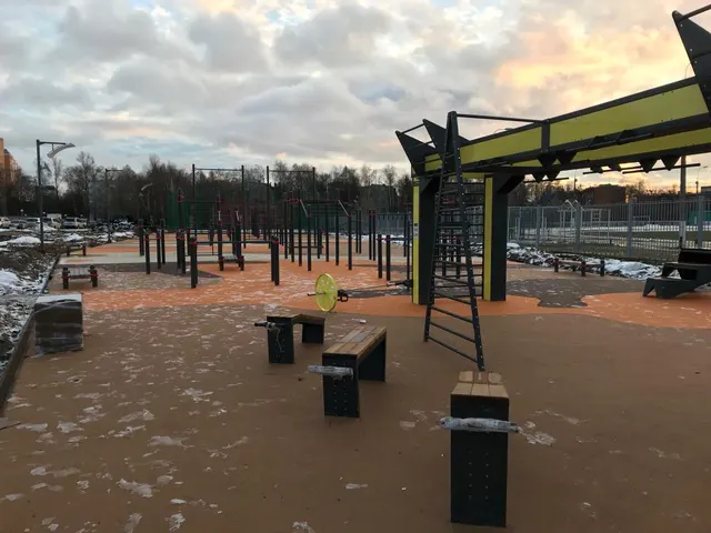 Calisthenics Park at Центральный стадион, Одинцово