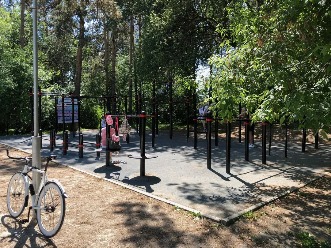 Monkey Bars at Calisthenics Park at улица Народной Воли, Екатеринбург – photo 4 of 4