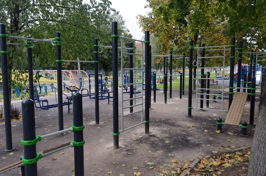 Monkey bar presso Calisthenics Park at Детский городок, Щёлково – foto 4 di 4