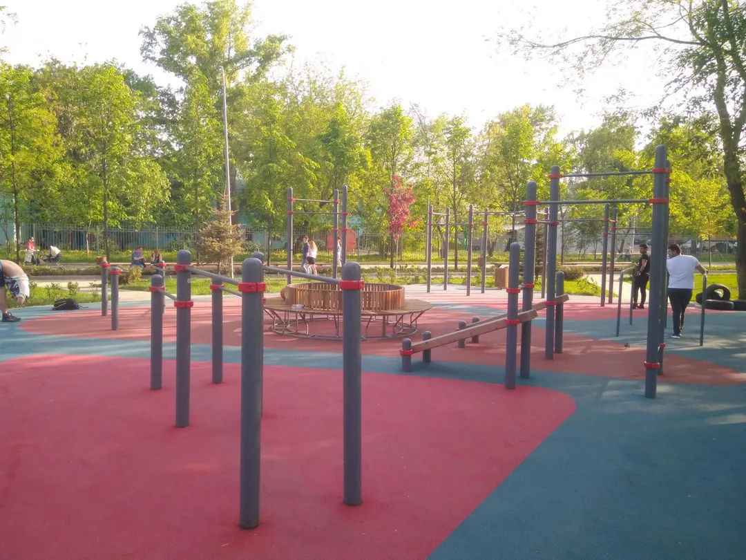 Spalier la Calisthenics Park at улица Сущёвский Вал (дублёр), Москва – fotografia 7 din 7