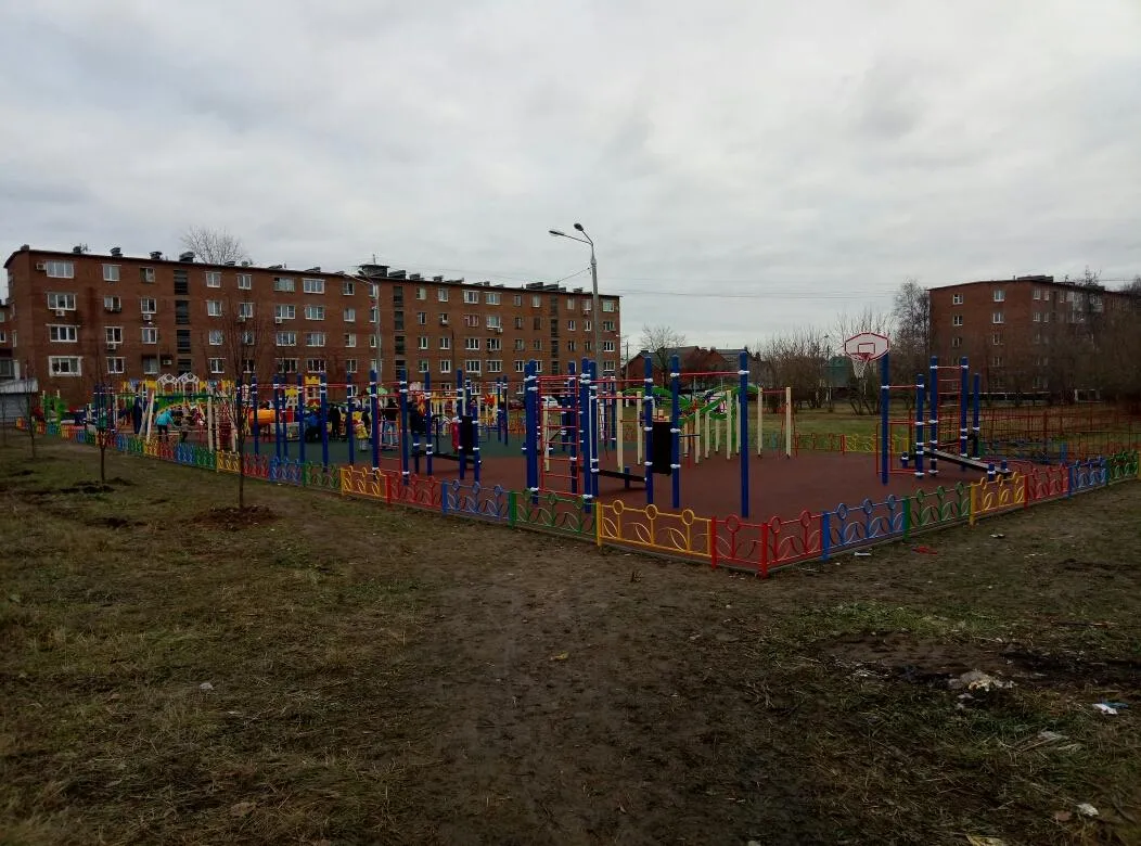 Barres de singe à Calisthenics Park at Первомайская улица, Ступино – photo 4 sur 4