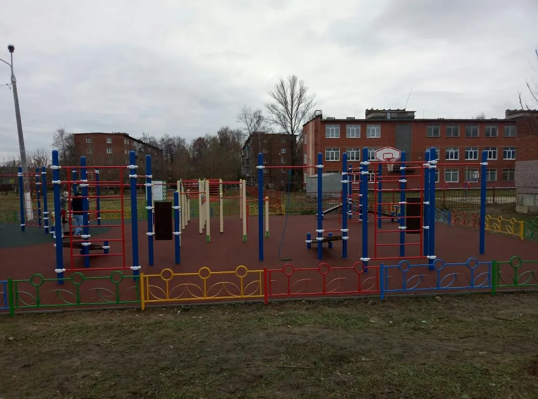 Espalier à Calisthenics Park at Первомайская улица, Ступино – photo 2 sur 4