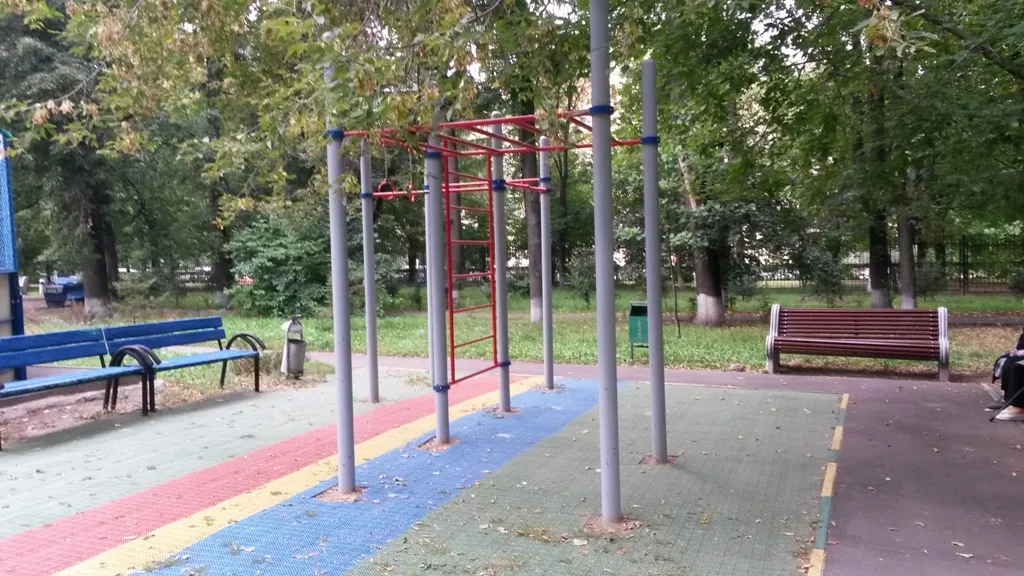 Monkey Bars la Calisthenics Park at Ленинский проспект (дублёр), Москва – fotografia 3 din 3