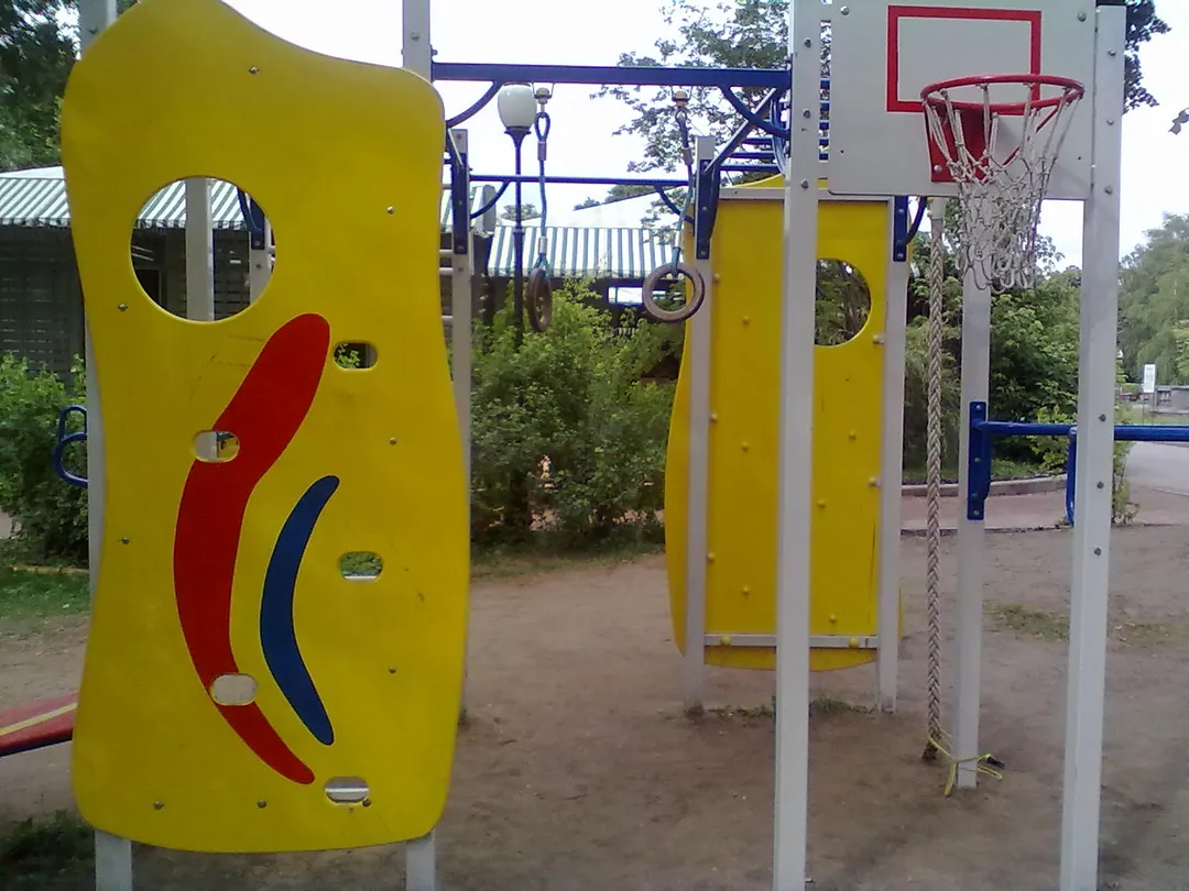 Spalier la Calisthenics Park at улица Крымский Вал, Москва – fotografia 2 din 4