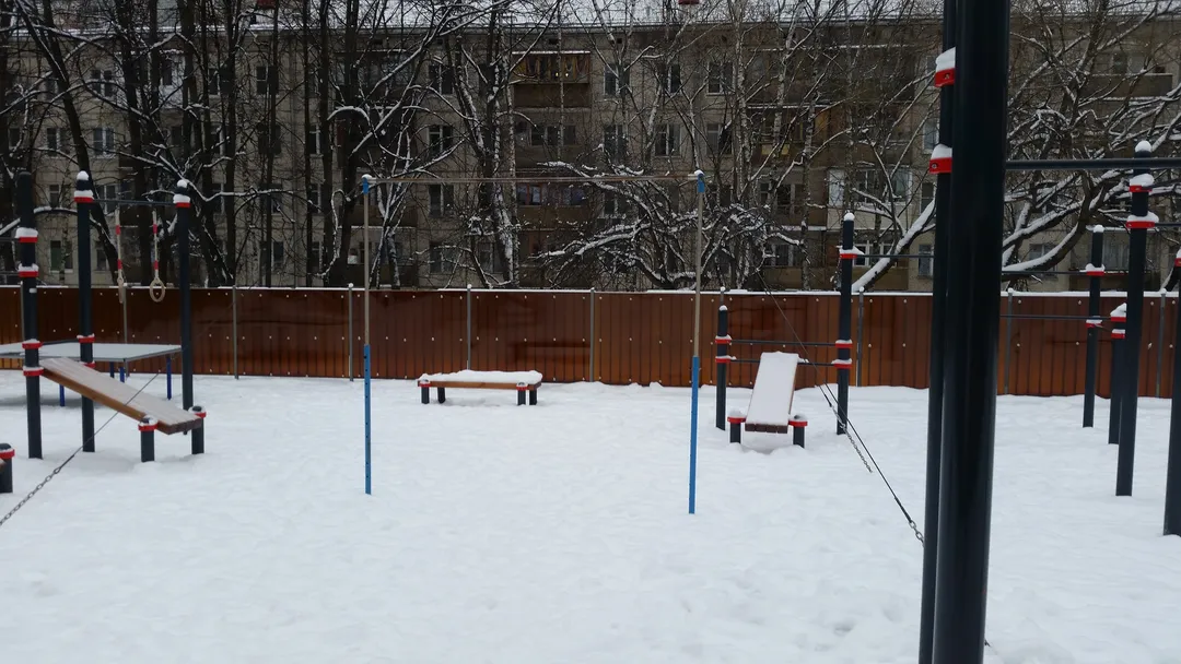 Monkey Bars la Calisthenics Park at улица Каховка, Москва – fotografia 3 din 3