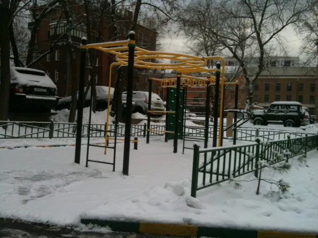 Barres parallèles à Calisthenics Park at Новоконюшенный переулок, Москва – photo 1 sur 2