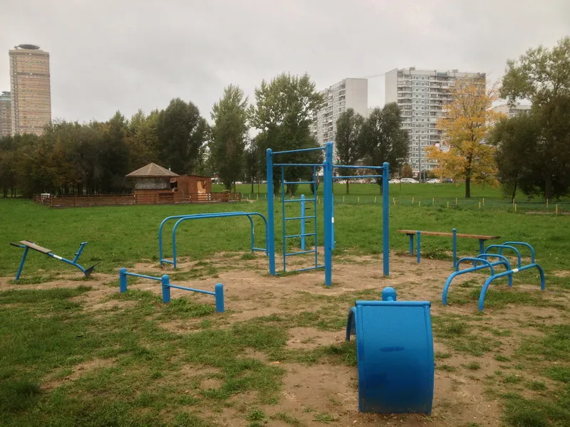 Spalier la Calisthenics Park at Строгинское шоссе, Москва – fotografia 2 din 4