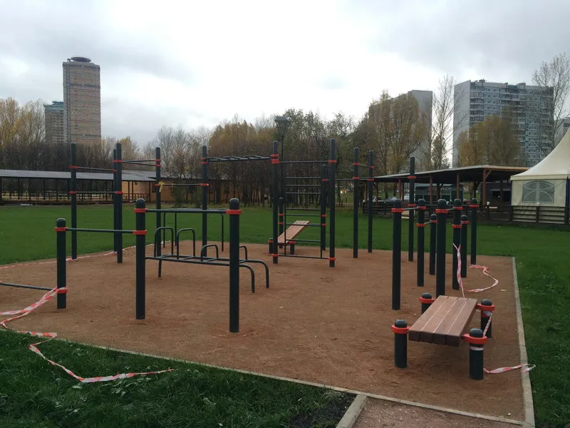 Monkey Bars la Calisthenics Park at Строгинское шоссе, Москва – fotografia 4 din 4