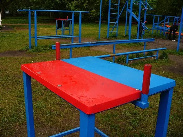 Barren bei Calisthenics Park at Серебряно-Виноградный проезд, Москва – Foto 6 von 6