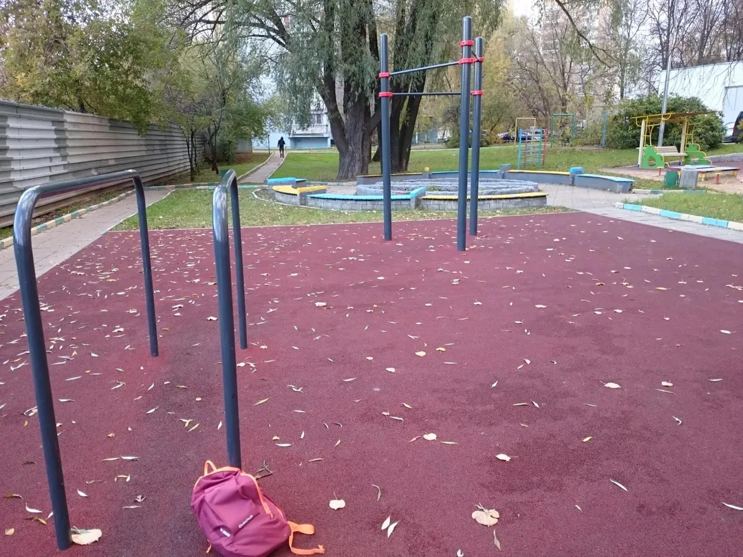 Monkey Bars la Calisthenics Park at проектируемый проезд № 3453, Москва – fotografia 3 din 4