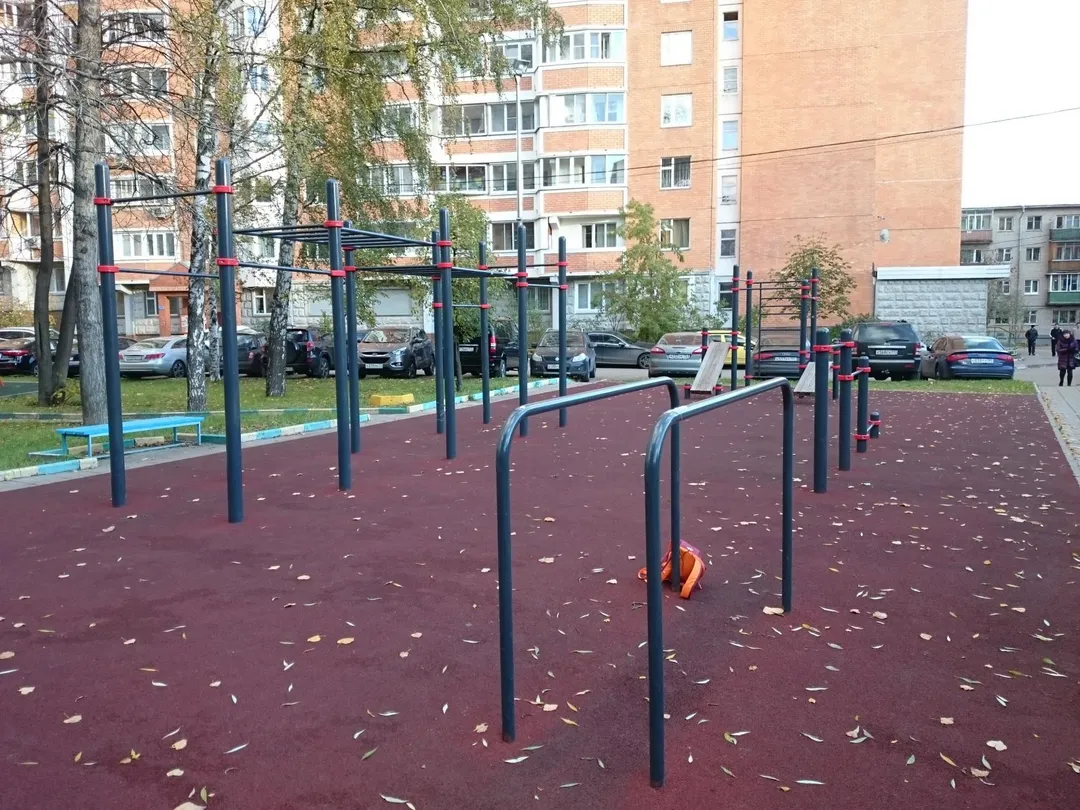 Bară de tracțiuni la Calisthenics Park at проектируемый проезд № 3453, Москва – fotografia 4 din 4