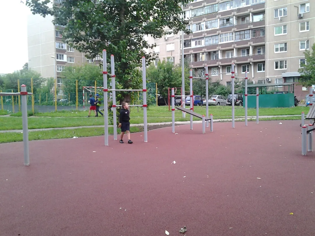 Monkey Bars la Calisthenics Park at улица Проходчиков, Москва – fotografia 3 din 3