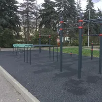 Calisthenics Park at улица Академика Хохлова, Москва #wp1573 - thumbnail 4
