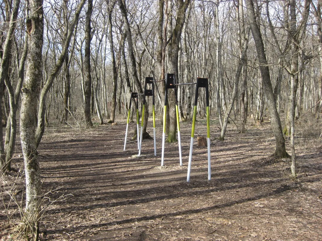 Parallele presso Calisthenics Park at улица Фроленко, Ставрополь – foto 2 di 2
