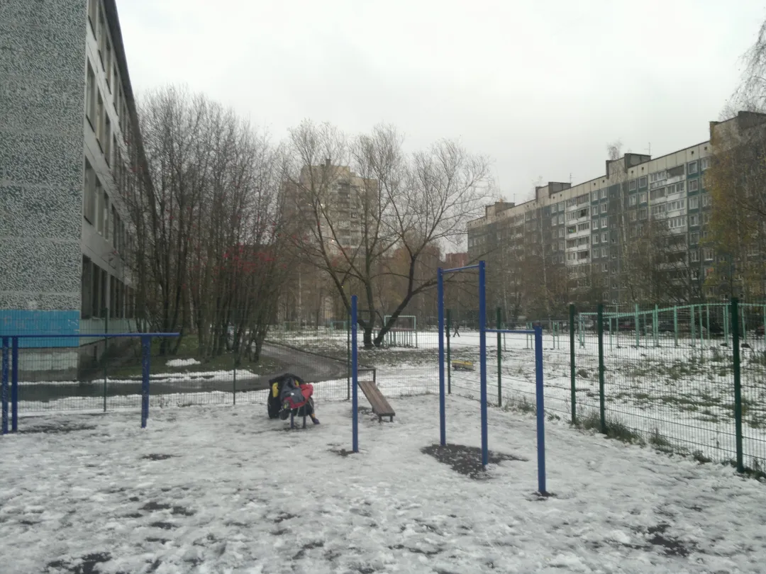 Parallel Gym Bars at Calisthenics Park at улица Сикейроса, Санкт-Петербург – photo 1 of 1