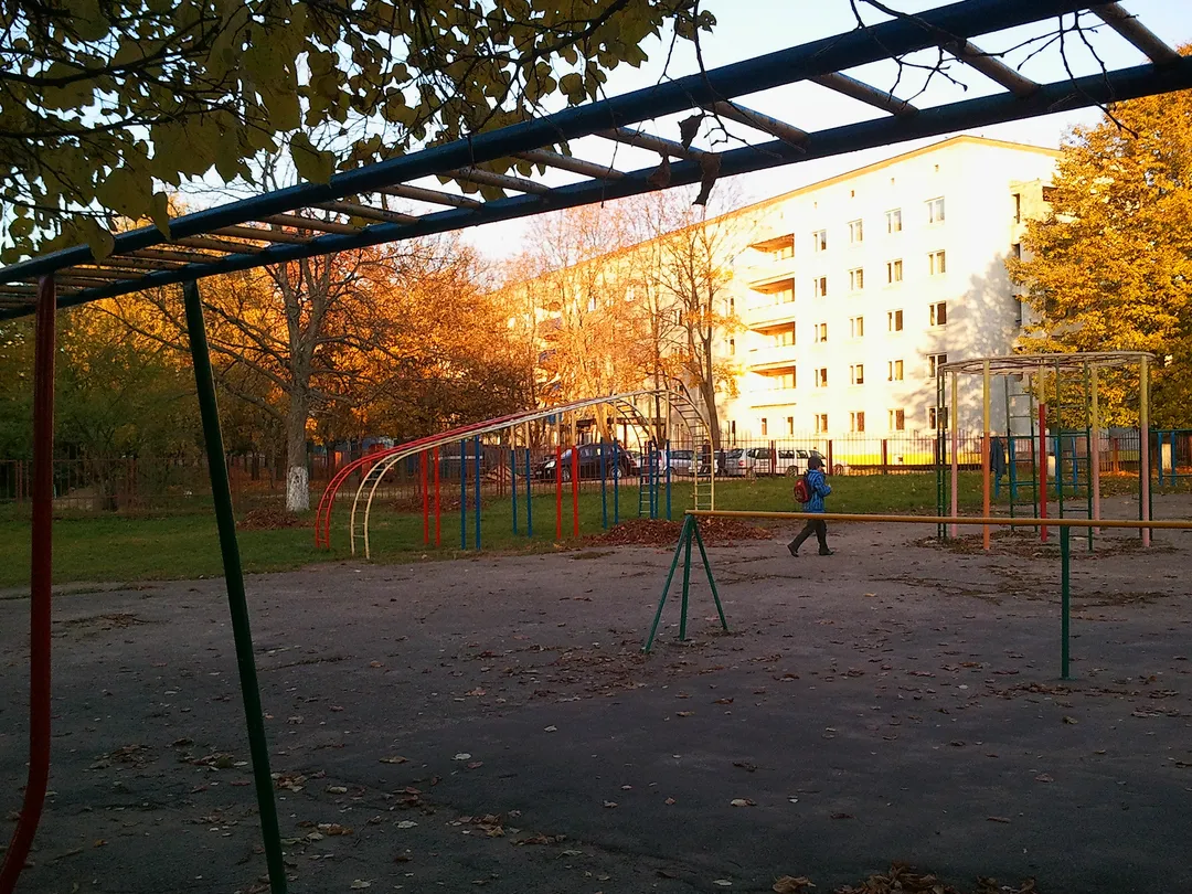Parallel Gym Bars at Calisthenics Park at Усходняя вуліца, Мінск #wp1579 – photo 3 of 6