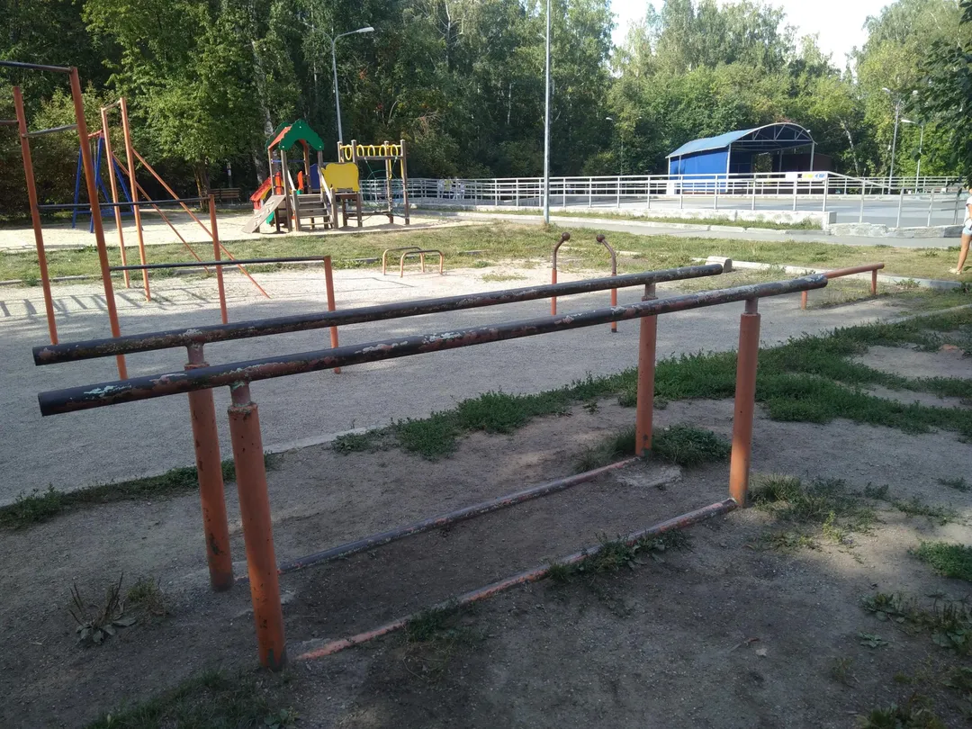 Monkey bar presso Calisthenics Park at улица Саввы Кожевникова, городской округ Новосибирск – foto 4 di 11