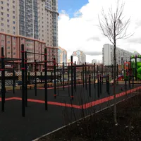 Calisthenics Park at улица Эльдара Рязанова, Москва - thumbnail 3