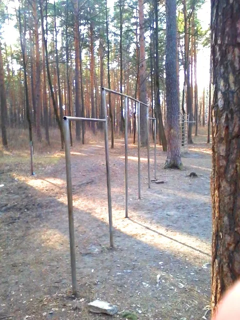 Barren bei Calisthenics Park at Базовый переулок, Екатеринбург – Foto 1 von 4