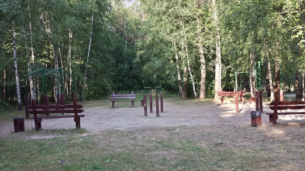 Barres de singe à Calisthenics Park at улица Академика Анохина, Москва – photo 2 sur 2