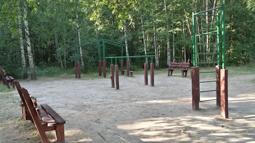 Barres parallèles à Calisthenics Park at улица Академика Анохина, Москва – photo 1 sur 2