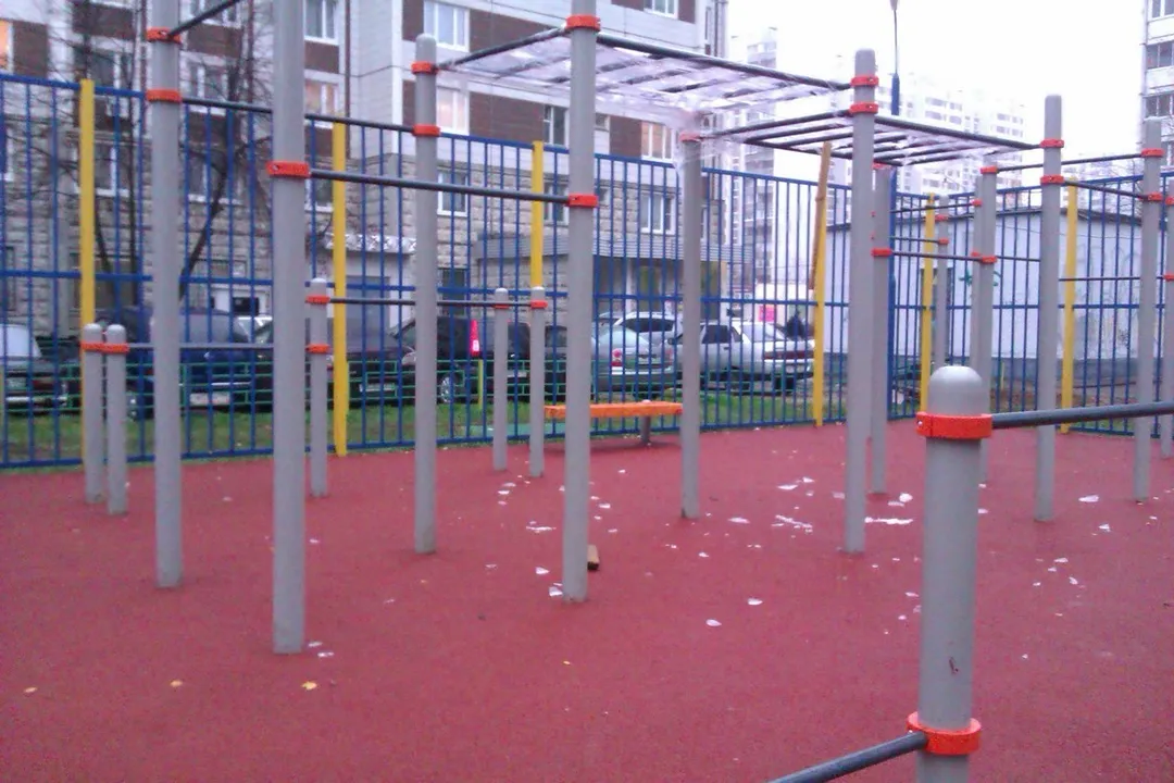 Monkey Bars la Calisthenics Park at 3-й Митинский переулок, Москва – fotografia 3 din 3