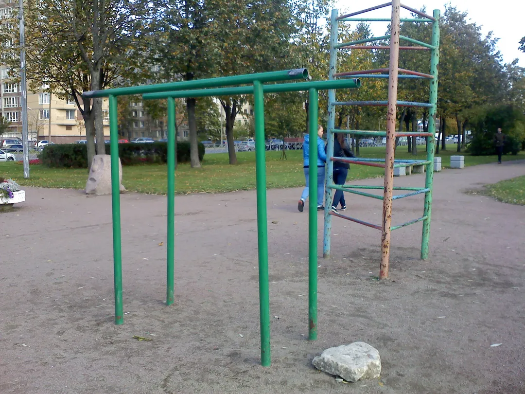 Wall Bars at Calisthenics Park at проспект Луначарского, Санкт-Петербург – photo 8 of 8