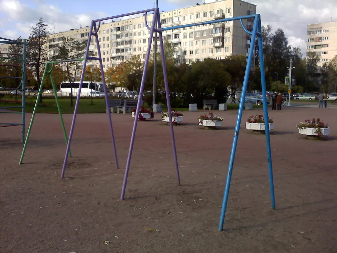 Monkey Bars at Calisthenics Park at проспект Луначарского, Санкт-Петербург – photo 2 of 8