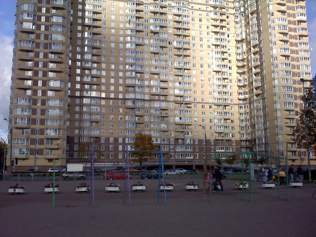 Monkey Bars at Calisthenics Park at проспект Луначарского, Санкт-Петербург – photo 6 of 8