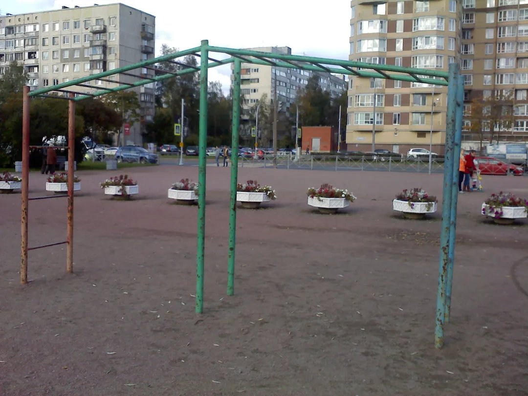Wall Bars at Calisthenics Park at проспект Луначарского, Санкт-Петербург – photo 4 of 8