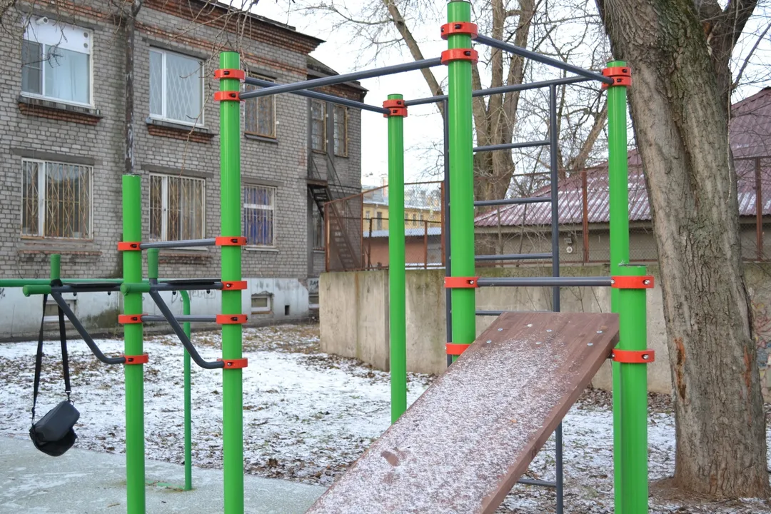 Monkey bar presso Calisthenics Park at Заставская улица, Санкт-Петербург – foto 4 di 5