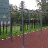 Calisthenics Park at улица Козлова, Санкт-Петербург - thumbnail 4