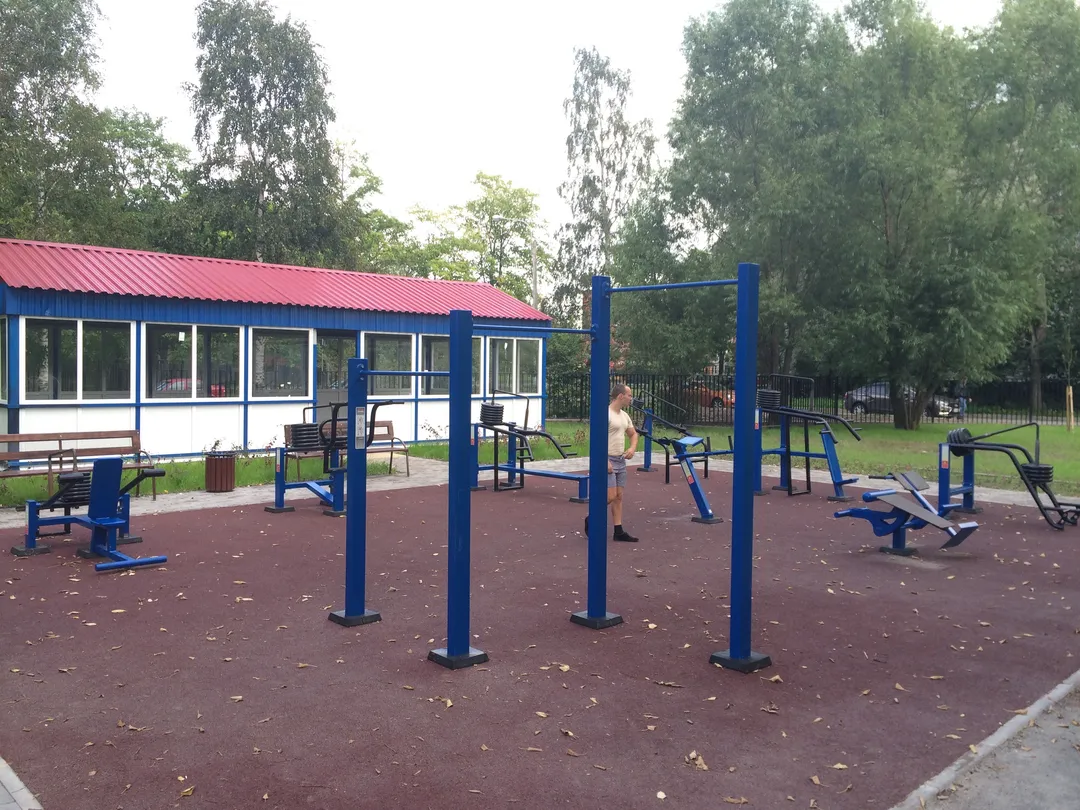Pull Up Bar at Calisthenics Park at улица Козлова, Санкт-Петербург – photo 5 of 7