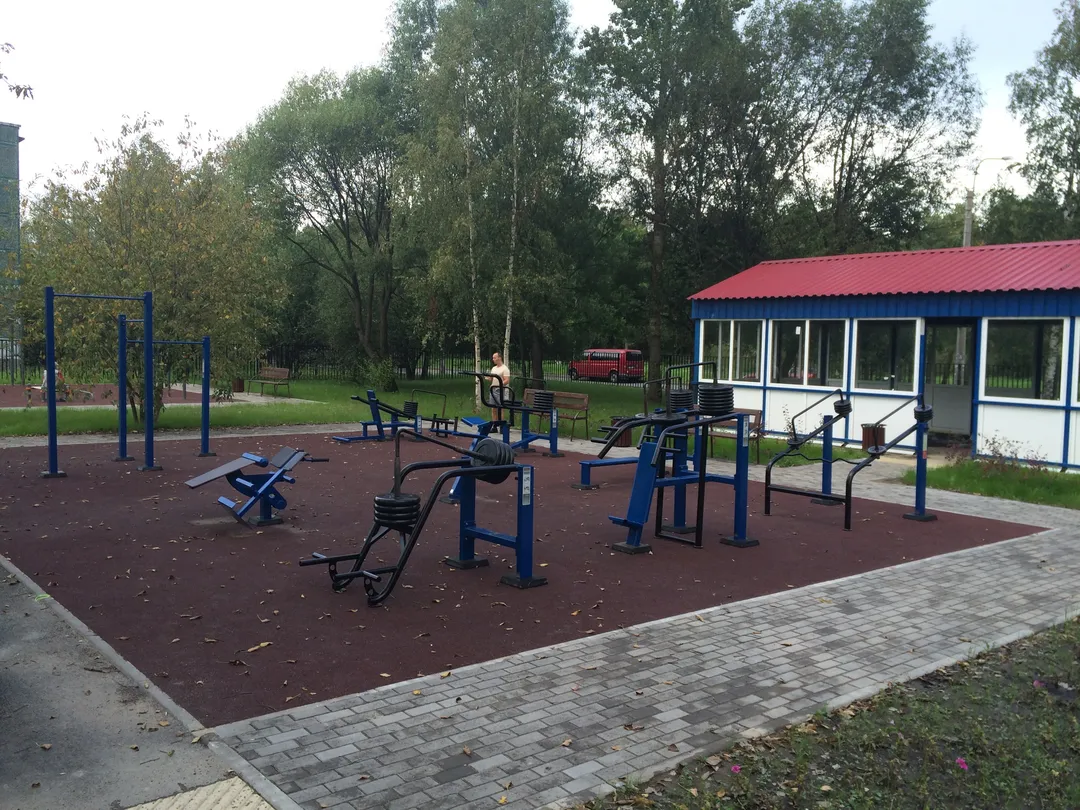 Wall Bars at Calisthenics Park at улица Козлова, Санкт-Петербург – photo 2 of 7