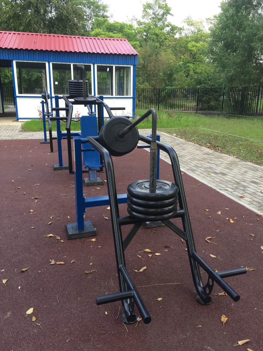 Angle Hyperextension at Calisthenics Park at улица Козлова, Санкт-Петербург – photo 7 of 7